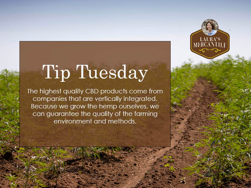 LaurasMerc's tweet photo. Join us each week for #TipTuesday where we share helpful info about CBD! Visit our website to browse our complete line of full-spectrum CBD products!
https://t.co/QLElzgxLJc
#CBDeducation #learnCBD #CBDcommunity #themoreyouknow https://t.co/s2boWXHW5J