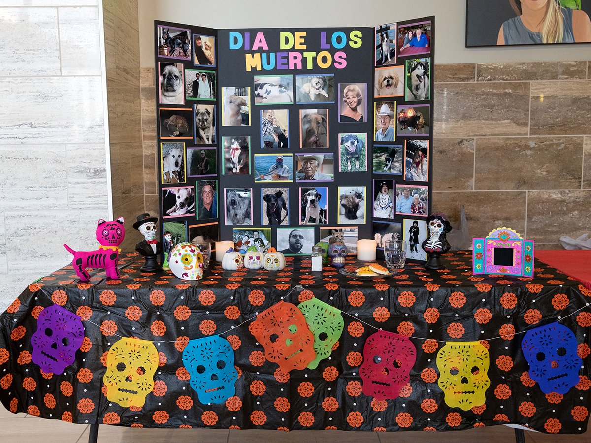 Texas A&M VetMed tweet media