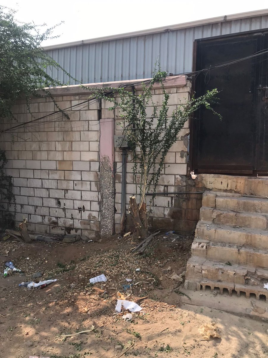 hasa_env's tweet photo. في تعاون مشترك بين #رابطة_شمال_الأحساء_البيئية و #مشتل_الرفيعة بـ #الأحساء، تم تقليم شجرة #هجليج (لالوب)في #الدمام بغرض تهذيبها والعنايةبها
استفدنا من نواتج التقليم بقرابة 1000 عُقلة،سيخصص جزء منها لأنشطة الرابطة والمهتمين بهذه الشجرة الصحراوية الملائمة لبيئتنا https://t.co/bc1xe17HYr