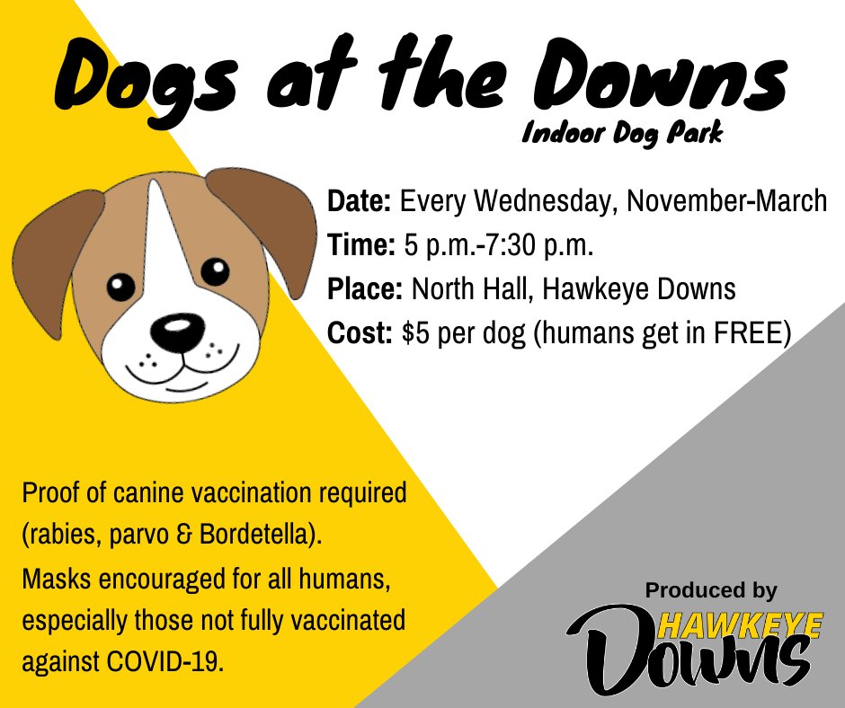 Hawkeye Downs tweet media