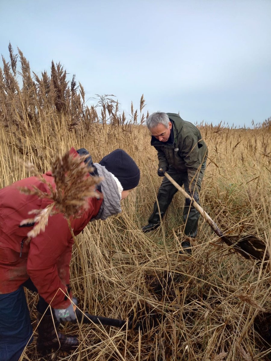 NordSalt's tweet photo. And that's a wrap - Soil collection complete in DK; so fast! Way to go @EllaEllulo @jimonjimonster @CintiaOQuintana @Carmen_Leiva_  and all the others #saltmarsh #teamwork. Next stop, @unihh to set up the soil for a long-term #ClimateChange experiment. @BiodivERsA3 https://t.co/caA6zLkmOb