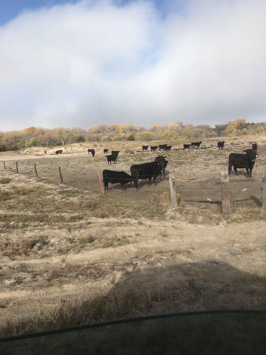 Mrzookeeper's tweet photo. Time to wean him https://t.co/n4XEo0DlqZ