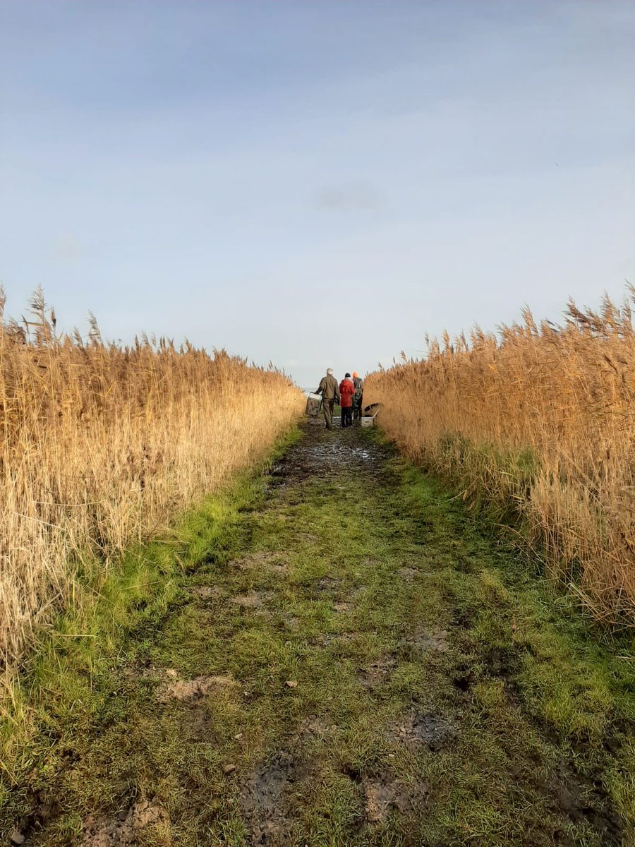 NordSalt's tweet photo. And that's a wrap - Soil collection complete in DK; so fast! Way to go @EllaEllulo @jimonjimonster @CintiaOQuintana @Carmen_Leiva_  and all the others #saltmarsh #teamwork. Next stop, @unihh to set up the soil for a long-term #ClimateChange experiment. @BiodivERsA3 https://t.co/caA6zLkmOb