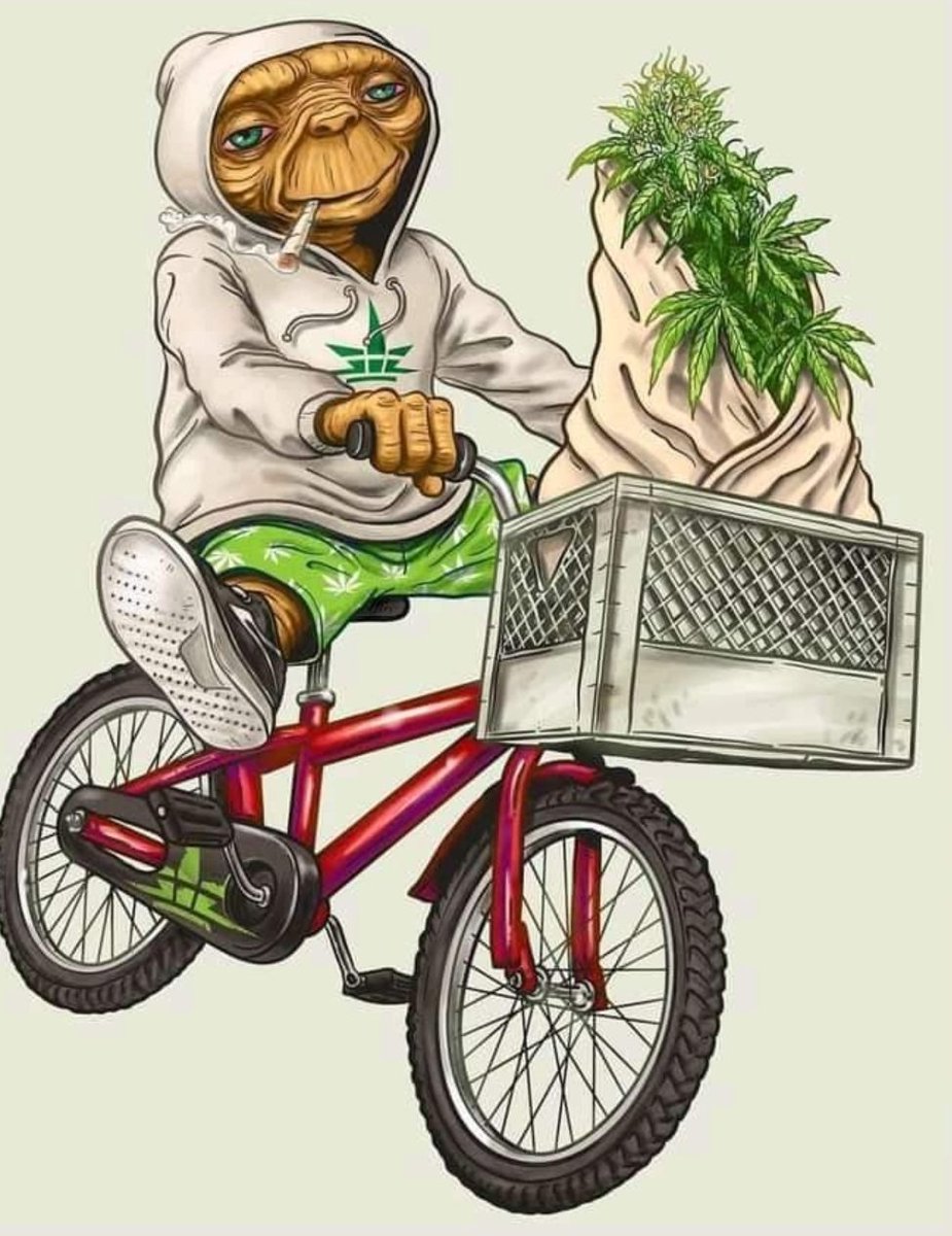 BajaWeedSeeds's tweet photo. "Ete" si me gusta 😅
El que entendió entendió
#WeedMorning
#420life https://t.co/KHteMzskGI
