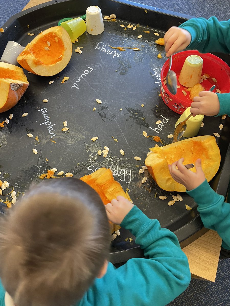 Willowbrook_Exe's tweet photo. Reception have had lots of fun with pumpkins today! ๐ #eyfs #learningthroughplay #continousprovision #exploreandplay #eyfslearners https://t.co/cvuAlDlYhv