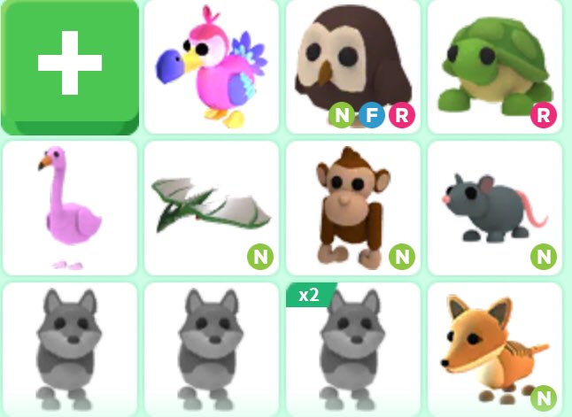 ginger10113301's tweet photo. Any offers for these pets?! 

#AMTrading #Adoptmetrades #adoptmetradings #Adoptmetrade #adoptmetrading #adoptmeoffers #NeonOwl https://t.co/nWGxbeNQVc
