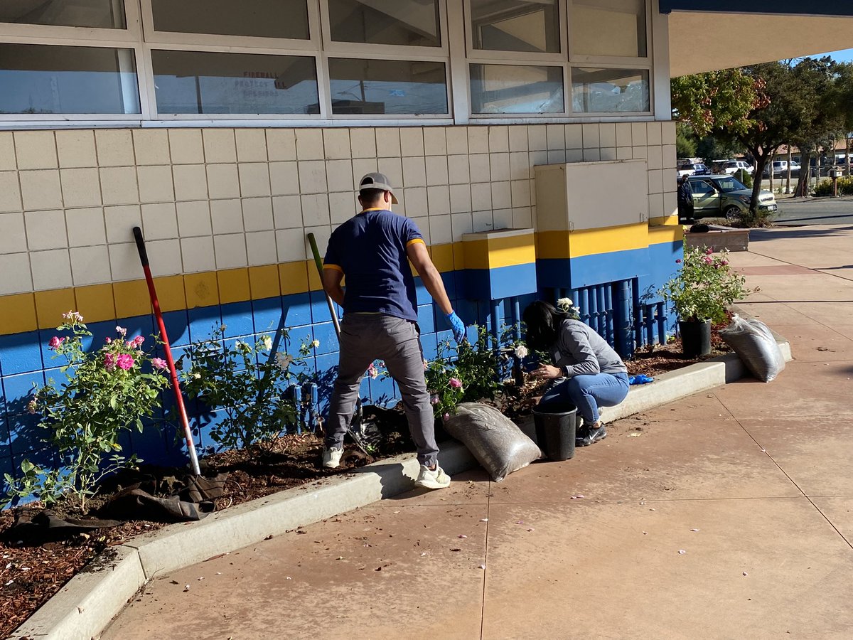 Amazonian’s Planting Beautiful Roses at Bloomington High School. #AmazonVolunteers #BuildingBusinessRelationships #MakingOurCampusBeautiful