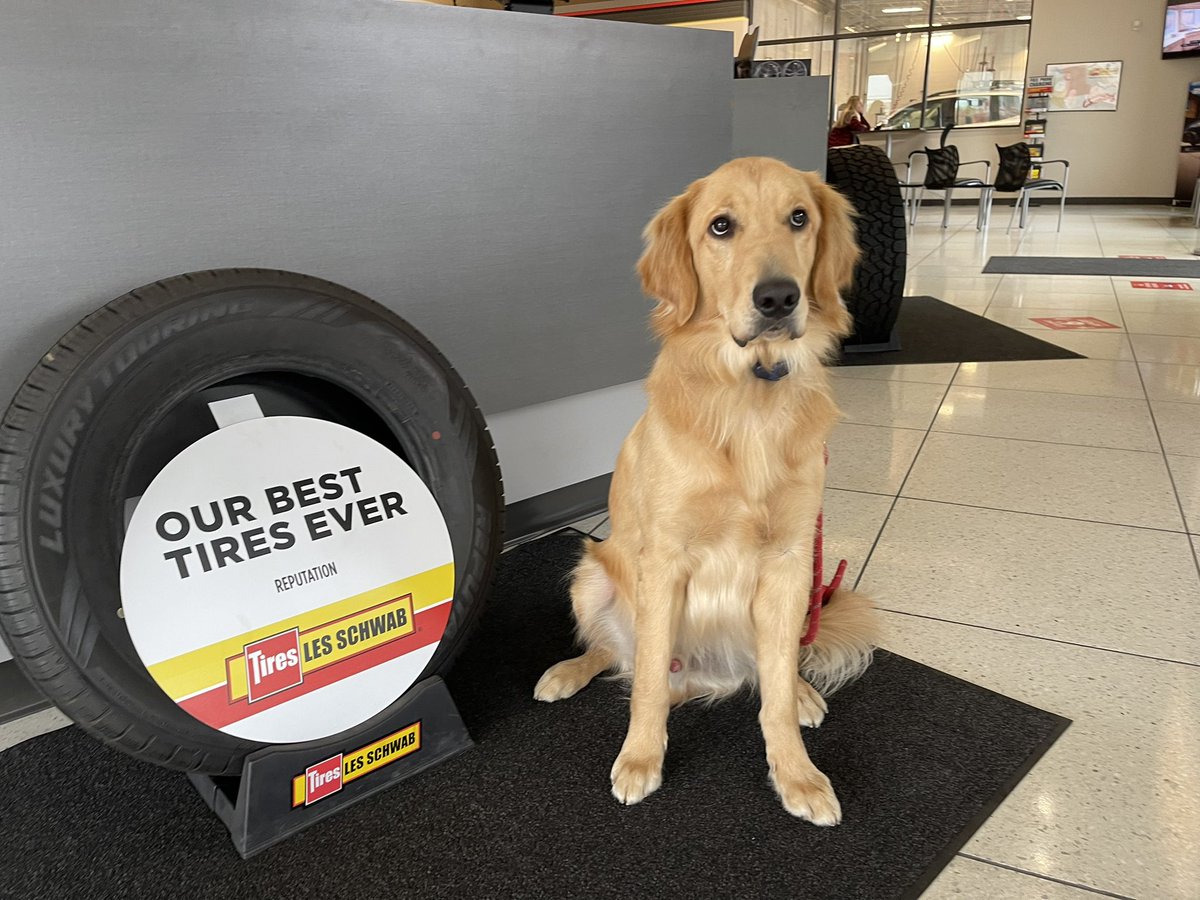DukeDAdventure's tweet photo. Les Schwab for new tires today. Going with the same recommendation as two years ago because they were great tires. #lesschwab https://t.co/YuVqauUvt3