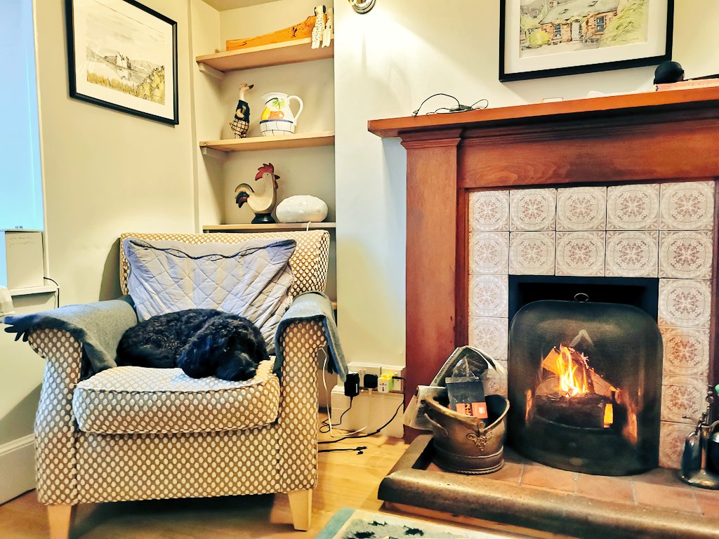 natashas93's tweet photo. The dog gets the best seat, of course ❤️ https://t.co/LfA5ehVazy