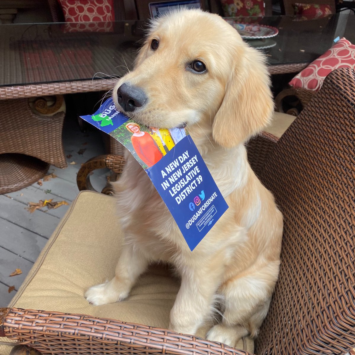 Lila wanted to remind you to get out and vote for her mom today!