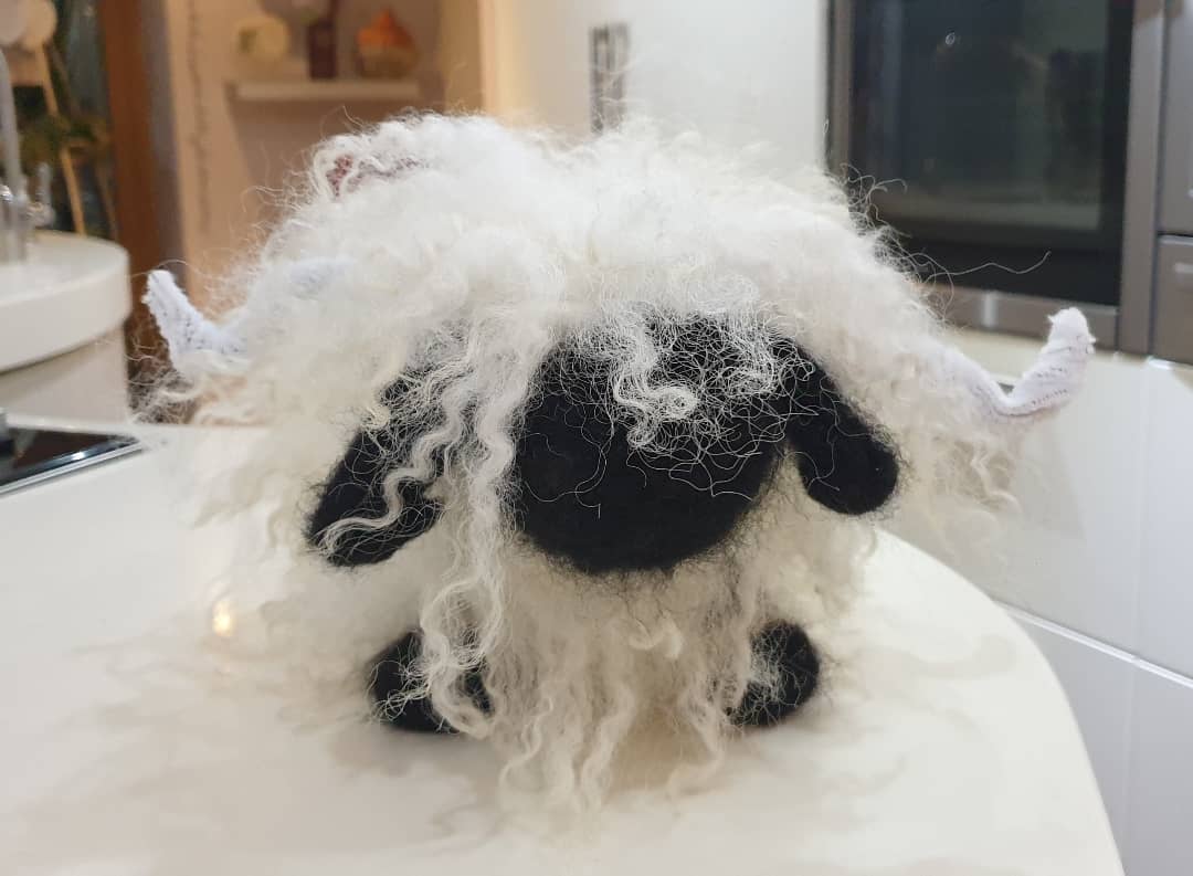 Arnbeg's tweet photo. For my 2nd attempt at needle felting I'd like to make the same statement as @JeremyClarkson
I did a thing
All from my own sheep and alpacas ❤
#arnbegfarmstayscotland #beginner #needlefeltedsheep #wool #wovember #wooliscool #Sustainability https://t.co/nudM4UzzYb