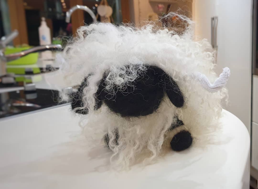 Arnbeg's tweet photo. For my 2nd attempt at needle felting I'd like to make the same statement as @JeremyClarkson
I did a thing
All from my own sheep and alpacas ❤
#arnbegfarmstayscotland #beginner #needlefeltedsheep #wool #wovember #wooliscool #Sustainability https://t.co/nudM4UzzYb