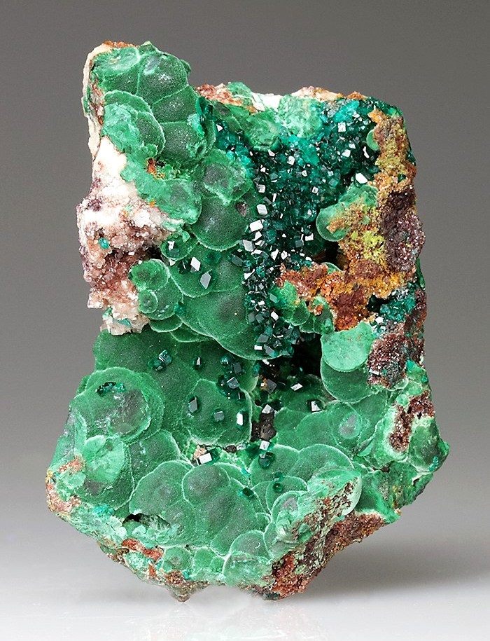 GeologyTime's tweet photo. Dioptase crystals on Malachite from the Tsumeb Mine, Namibia.

Photo: Crystal Classics

#minerals #crystals https://t.co/DA1GBwyYFh