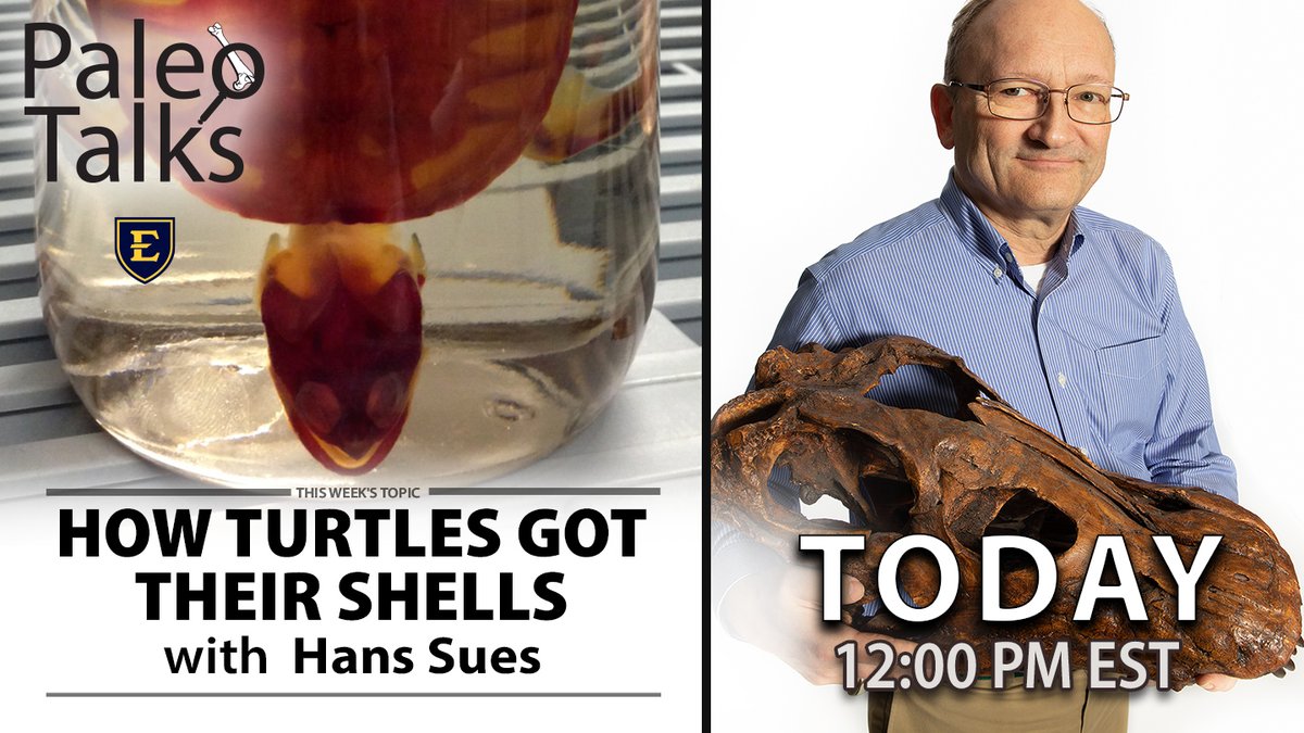 Join us TODAY for Paleo Talks! ⁠
⁠
Streaming live on Facebook: facebook.com/grayfossilsite