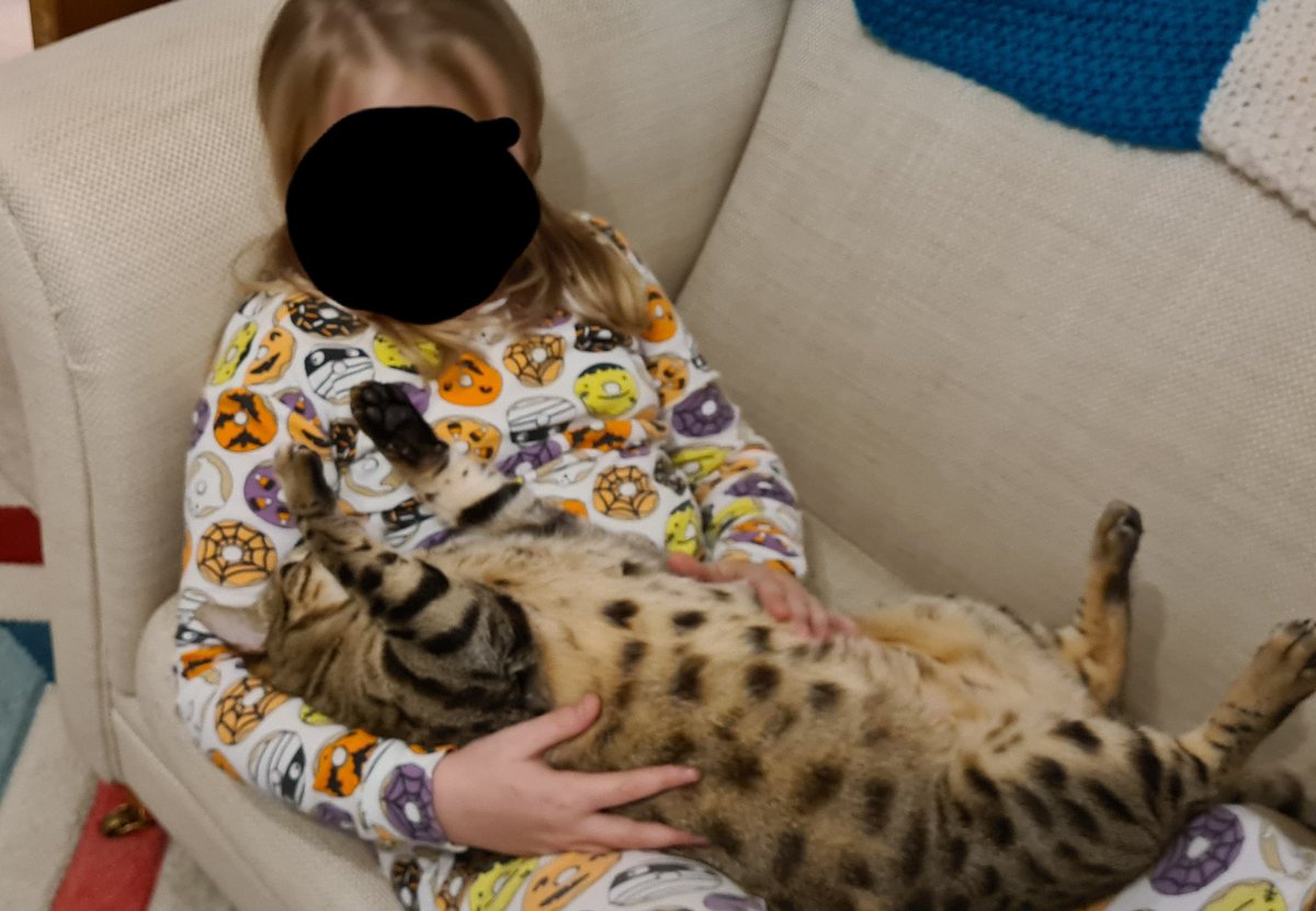 EdisonChubbyCat's tweet photo. Edison trying to camouflage himself as a Halloween doughnut!!!

#Halloween #halloween2021 #CatsOfTwitter #halloweencostumes #Bengals #cat https://t.co/mDOgzzrvir