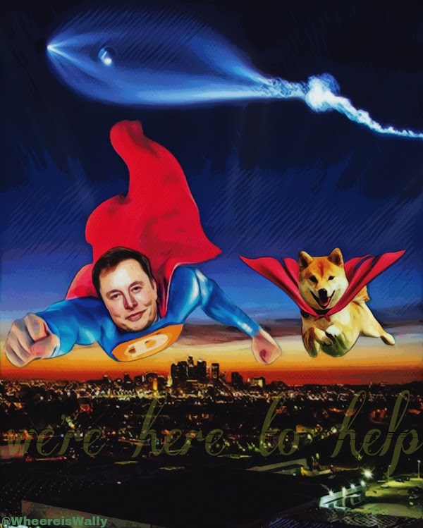 itsALLrisky's tweet image. Super $DOGE @elonmusk