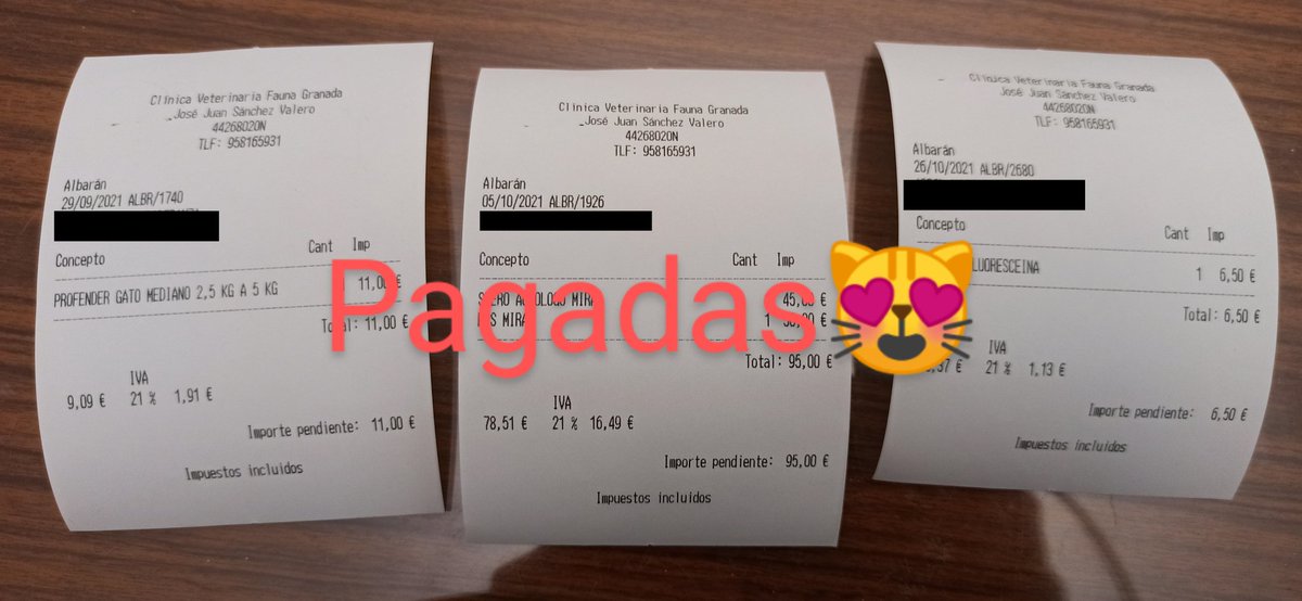 Felinos_Gabias's tweet photo. #FACTURAS #PAGADAS ♥️🤗 Hemos podido pagar las facturas de wifi y Mirai gracias a la colaboración de J.B. y Anastasia ♥️😻de verdad #gracias por vuestra ayuda 🤗♥️. Si alguien quiere colaborar con los gastos de los michis os dejamos como hacerlo♥️ https://t.co/I9V3nGEnRd
