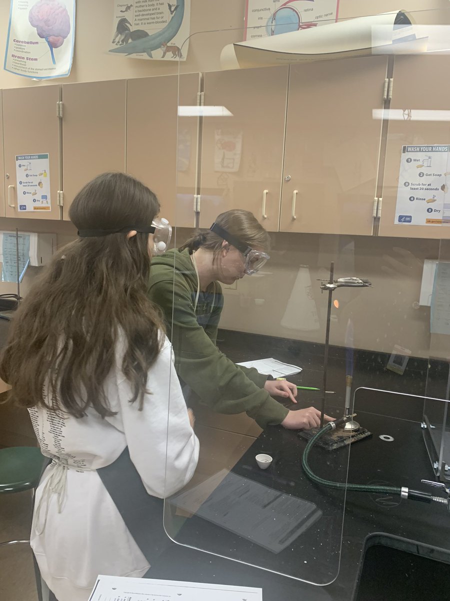 izzokelli's tweet photo. Ionic Compounds lab in Chemistry today, and Dia de los Meurtos activities in Español III. Love being able to take part in the learning today @_BBHHS! #BeeOneCommunity #BeeAScholar https://t.co/6Om5uZGJwI