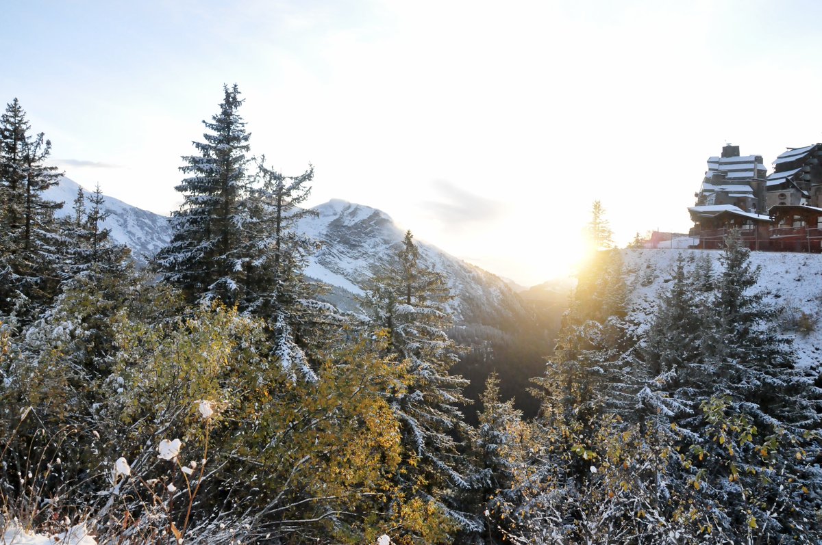 Avoriaz1800's tweet photo. [En direct: ❄️+ ☀️]
Le "krrr krrr" sous les pieds fait très plaisir 😄 !
https://t.co/rBwEkMFslA
#Avoriaz1800 #BienvenueAilleurs #Snowisback https://t.co/jheuYWwGAv