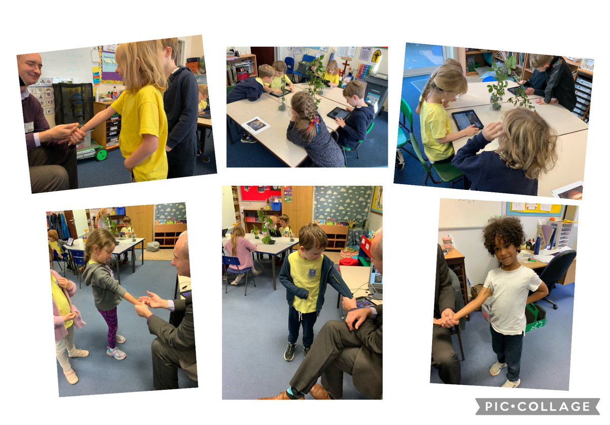 StBridgetsCofE's tweet photo. Year 2 had an exciting day learning about stick insects through science and computing today. #hiimpact πͺ³ https://t.co/oJg73ynA9t