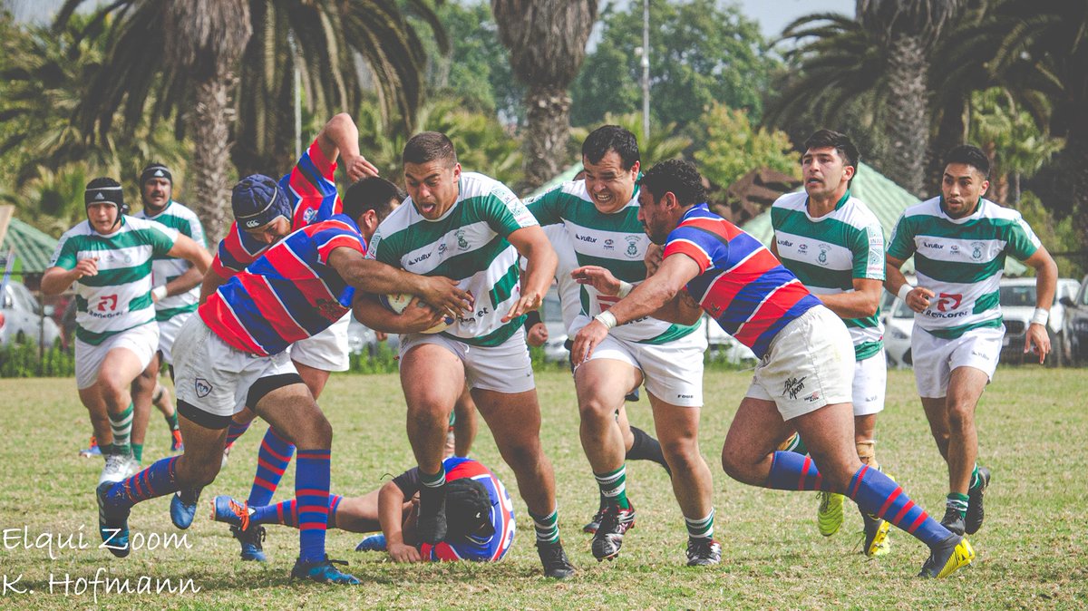 Rugbiers_'s tweet photo. #ARUSE | Agónica victorias de @SanBartoloRugby y @SeminarioRugby dejó la 3a Fecha. Vencieron a Carneros y Old Anglonians en duros partidos. El resumen de la jornada en Rugbiers - 📸 Karla Hofmann / Elqui Zoom
https://t.co/WsIGNeln9D
@Kia_Chile @celtry @UAI_VINA #Irrisolar https://t.co/NLIRt1wFeK