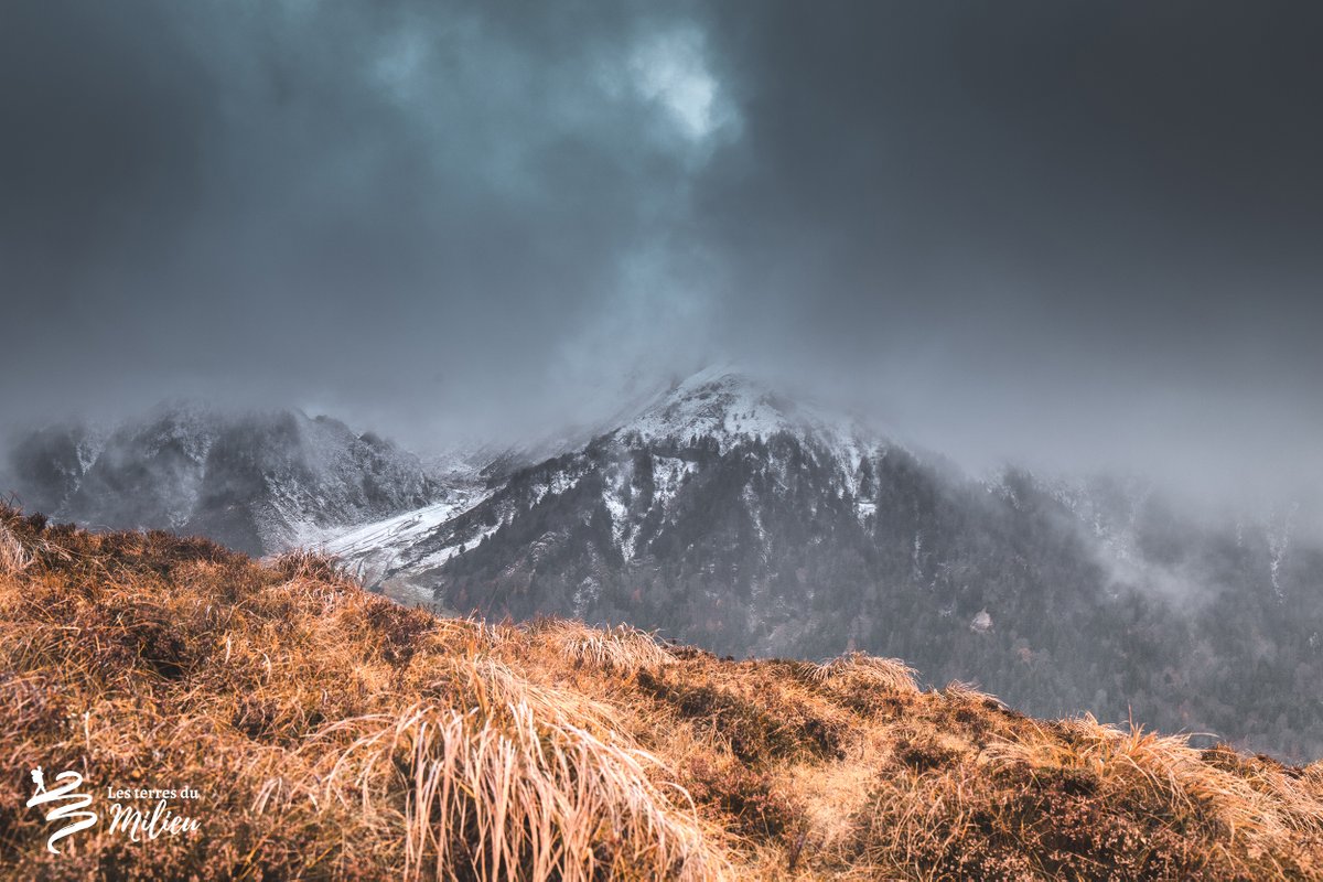 Terresdumilieu's tweet photo. Saupoudrage du jour dans le #sancy❄️🧡 Les premières neiges, lorsque les paysages hésitent entre #automne et #hiver, ce sont les ambiances que je préfère ! 

#pasbesoindallerloin #neige #auvergne https://t.co/t0Bj1d8gHn