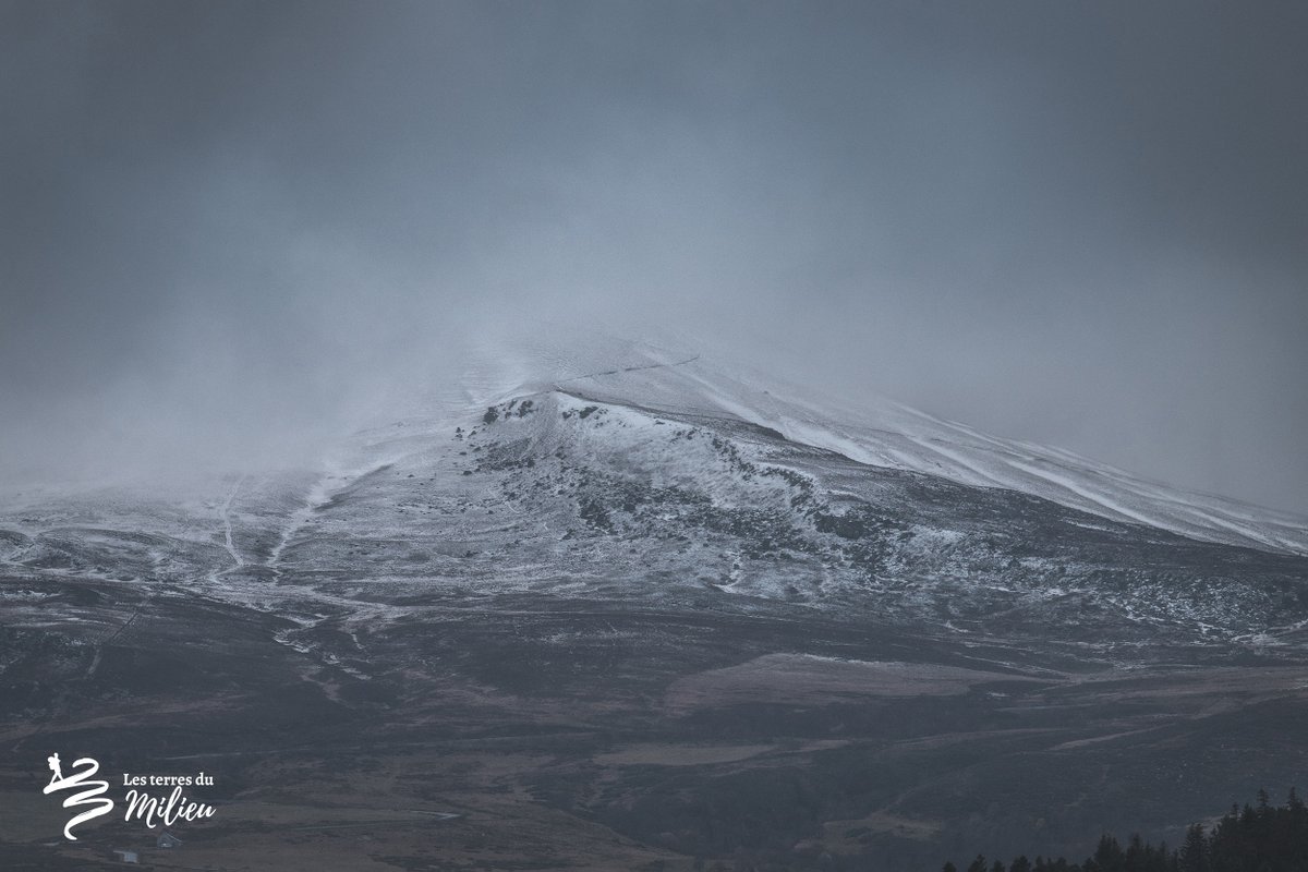Terresdumilieu's tweet photo. Saupoudrage du jour dans le #sancy❄️🧡 Les premières neiges, lorsque les paysages hésitent entre #automne et #hiver, ce sont les ambiances que je préfère ! 

#pasbesoindallerloin #neige #auvergne https://t.co/t0Bj1d8gHn