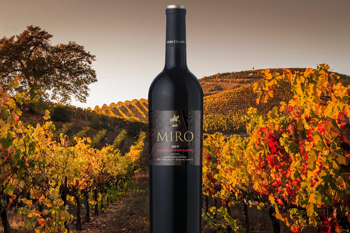 New! 2019 Old Vines Cabernet Sauvignon 25% OFF - mailchi.mp/bulgarianwine.…