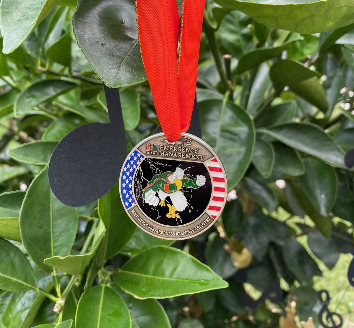 UMiamiENN's tweet photo. Happy to add a little Emergency Management Spirit to the University of Miami Spirit Tree! #BringBacktheBeat #Homecoming https://t.co/xzBZRoJlNe