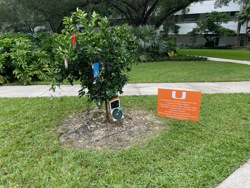 UMiamiENN's tweet photo. Happy to add a little Emergency Management Spirit to the University of Miami Spirit Tree! #BringBacktheBeat #Homecoming https://t.co/xzBZRoJlNe