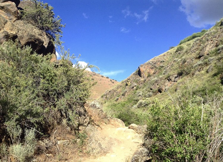 BroncoSportXCTF's tweet photo. For the 1โฃst #TrailTuesday of November, we're featuring...
The ๐๐ฏ๐ข๐ฆ๐จ๐ซ ๐๐ซ๐๐ข๐ฅ ๐๐ฒ๐ฌ๐ญ๐๐ฆ includes 1โฃ6โฃ trails covering 31 miles of Treasure Valley backcountry. Trails range from 0.3 to 3.5 miles, providing several options for runners!
#BleedBlue | #RunBoise https://t.co/TU8qskBJX1