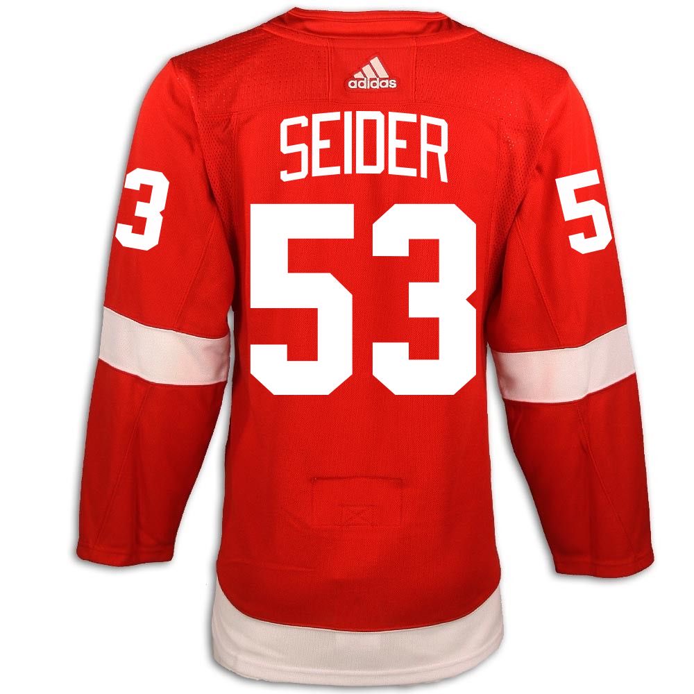 WingedWheelPod's tweet photo. So it's probably high time we do a Moritz Seider jersey giveaway for our followers, yeah? 👀 #LGRW https://t.co/SWoySJO9HV