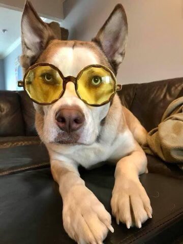 DerekMears's tweet photo. Charlie Atari says yellow to you.
#CharlieAtari
#Boxsky https://t.co/6zUc2EC5QV