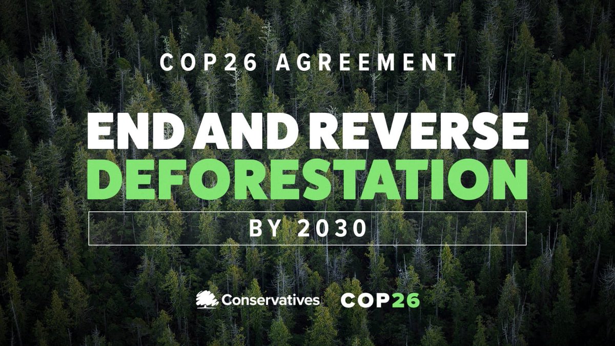 SelaineSaxby's tweet photo. Brilliant news coming out of @COP26 that more than 100 world leaders have committed to end deforestation by 2030  

#COP26 #TogetherForOurPlanet https://t.co/a7nidcw04p