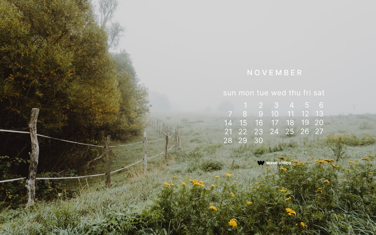 wave_video's tweet photo. November and new wallpapers with calendars by https://t.co/g5veGHKRFr are here!

We wanted to plunge you into a thoughtful, slightly mysterious atmosphere.
Did it work?

#Wallpapers #Calendar #wavevideo #November https://t.co/a5kStlyNLM