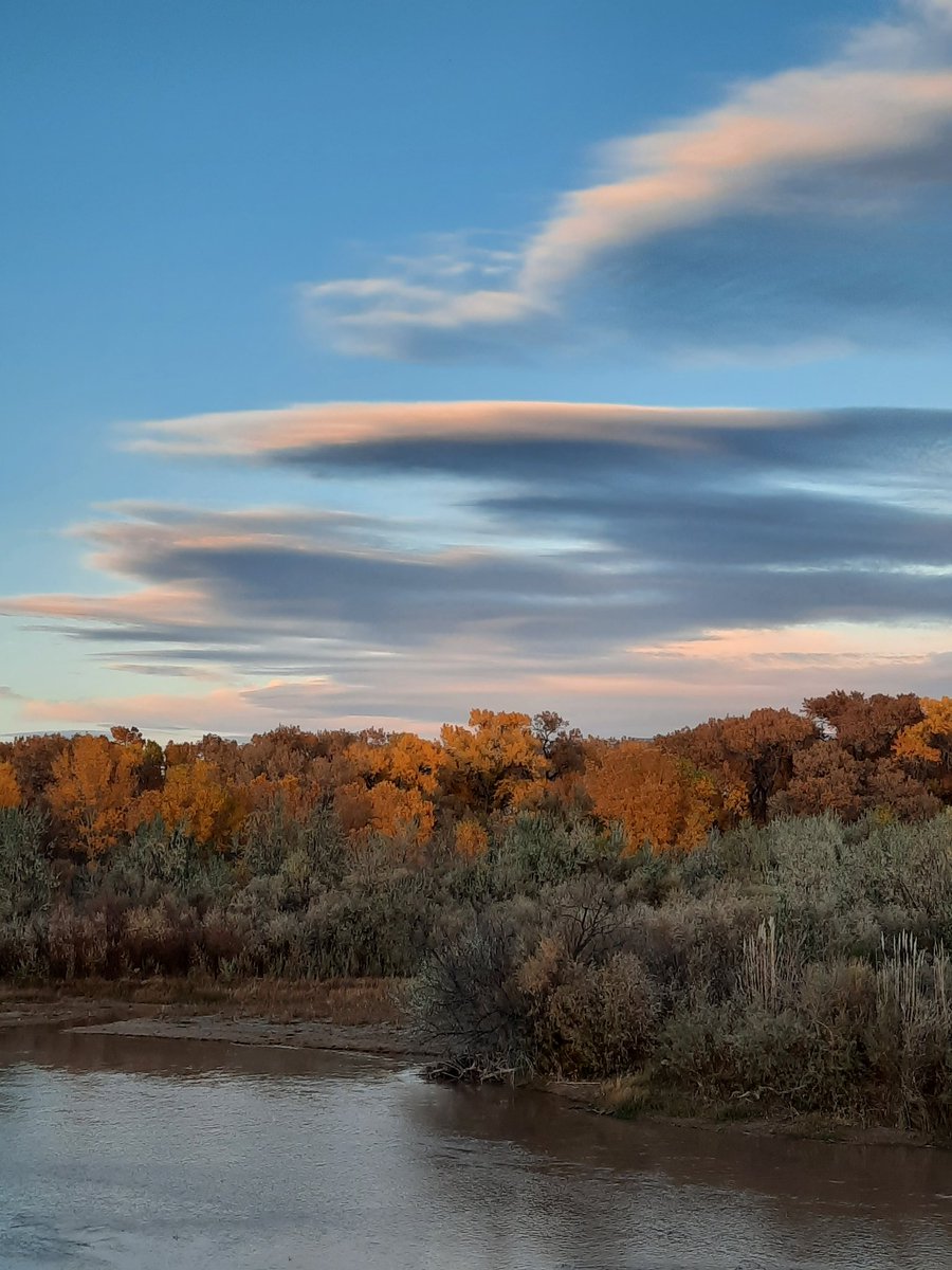 lovecaregivers3's tweet photo. I eventually got it together yesterday. Took Belle on a 3 1/2 mile walk. It was good for both of us. #LoveCaregivers #CaregiverLife #SelfCare #CaringForTheCaregiver #CouchTo5K #Walk #NMSky #NMNature #BosqueWalk #DogWalk #Autumn https://t.co/jmmFSNw2BR