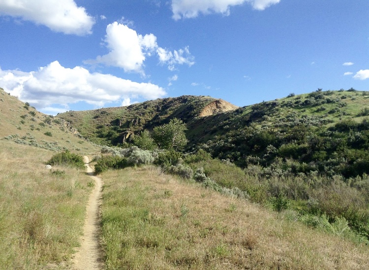 BroncoSportsXC's tweet photo. For the 1โฃst #TrailTuesday of November we're featuring...
The ๐๐ฏ๐ข๐ฆ๐จ๐ซ ๐๐ซ๐๐ข๐ฅ ๐๐ฒ๐ฌ๐ญ๐๐ฆ includes 1โฃ6โฃ trails covering 31 miles of Treasure Valley backcountry. Trails range from 0.3 to 3.5 miles, providing several options for runners!
#BleedBlue | #RunBoise https://t.co/C5mlieRSp2
