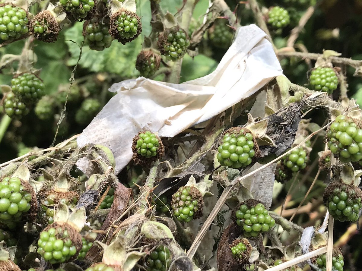 Prof Jamie Woodward tweet media