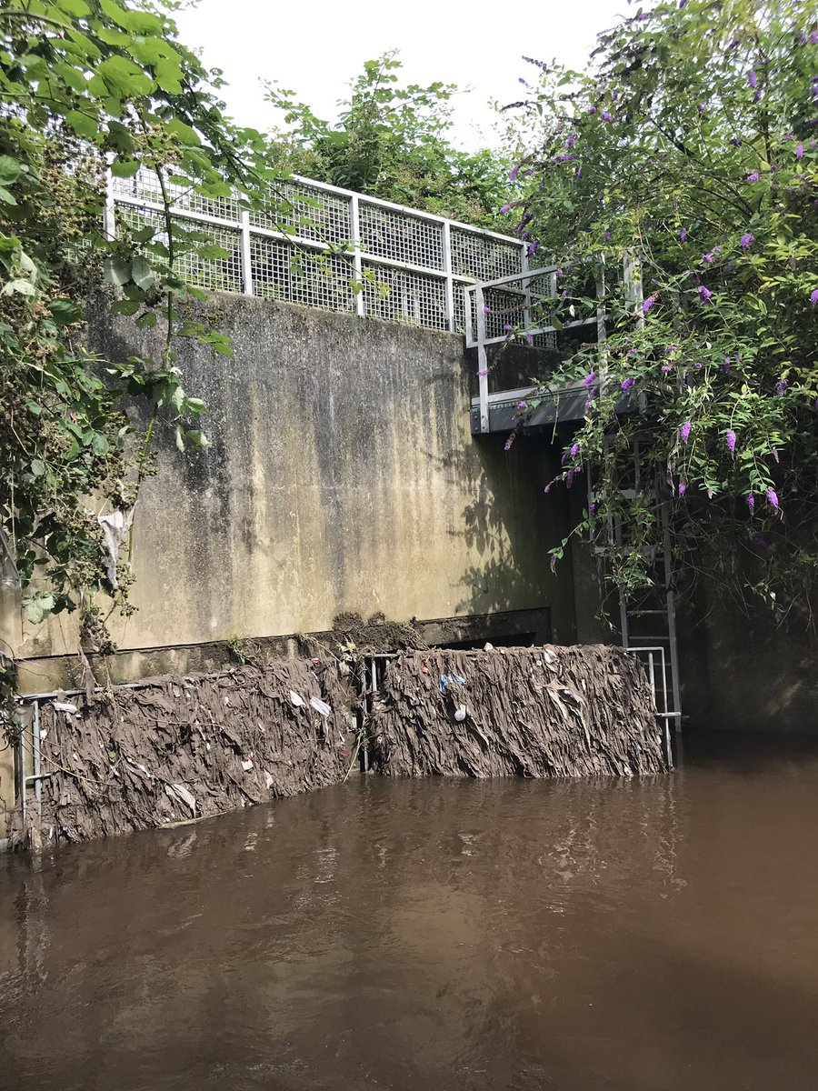 Prof Jamie Woodward tweet media