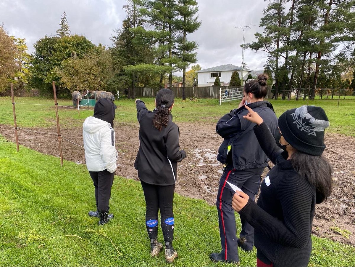 PeelCops's tweet photo. Sundays session was spent learning how to identify a horse, doing a fun scavenger hunt, and discussing setting achievable goals. 
#growthmindset #proactionkids #copsandkids #youthempowerment #youthdevelopment
@copsandkidsca  @proaction_peel  @creditviewstablesofficial https://t.co/aFt6PKKUiR