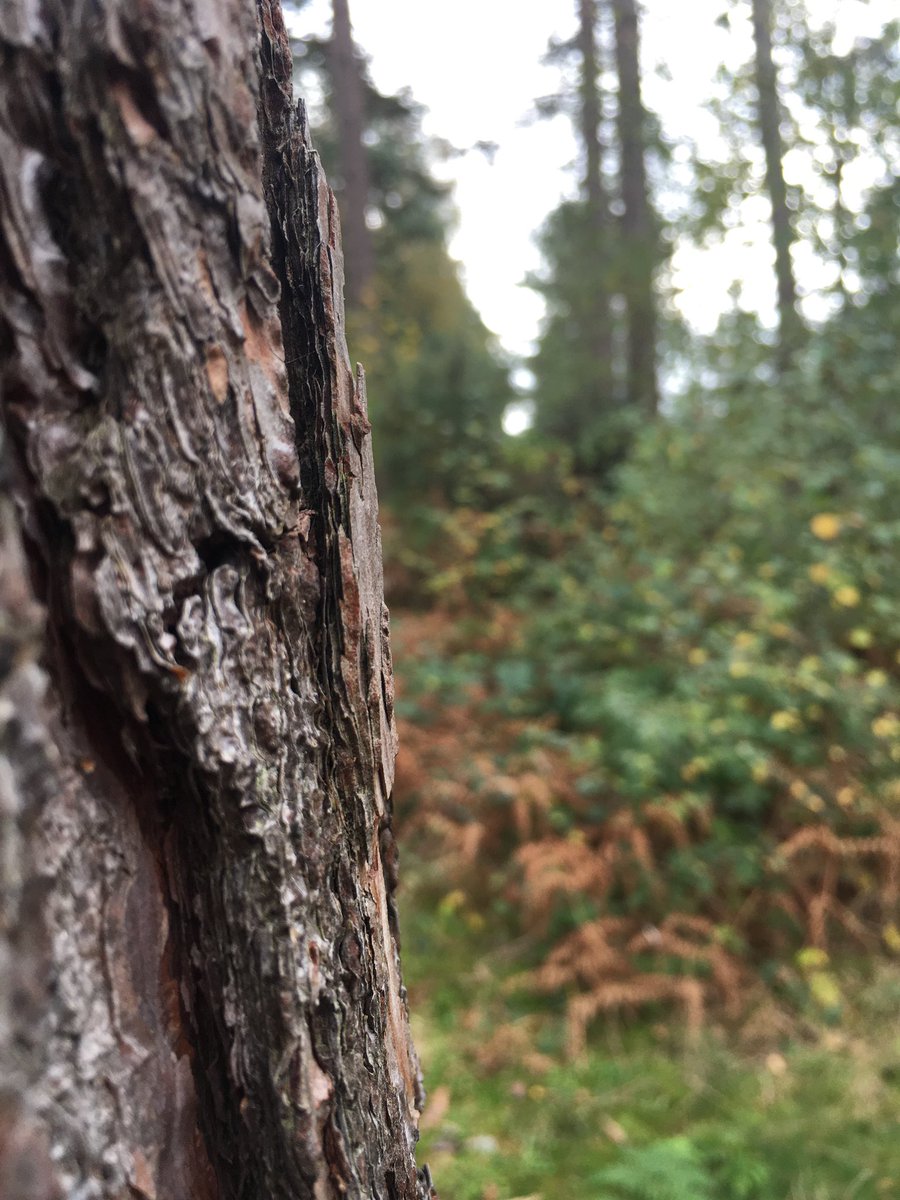 WycHighGeog's tweet photo. A small sample of some excellent entries to the Geography photograph competition 📷 🍂 Deadline is Monday 8 November! #insatiablecuriosity https://t.co/inUszCdcD6