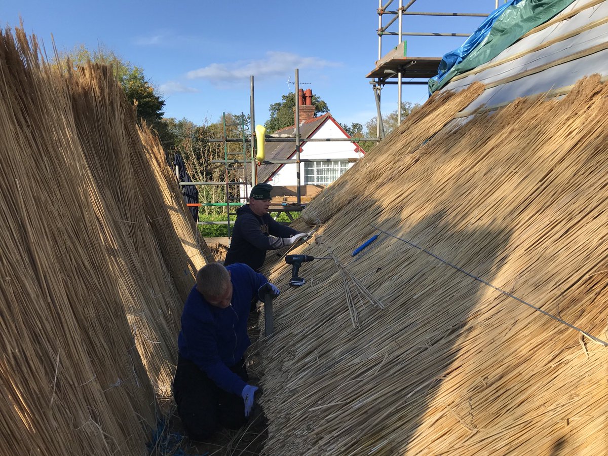 Forming the eave &brow courses . The eave forms the horizontal overhang at the base of the roof. The brow sits on top and determines the thickness. Michal- nearest camera- is working on the brow. When we are happy with the levels a steel bar holds each course down.#Thatching.