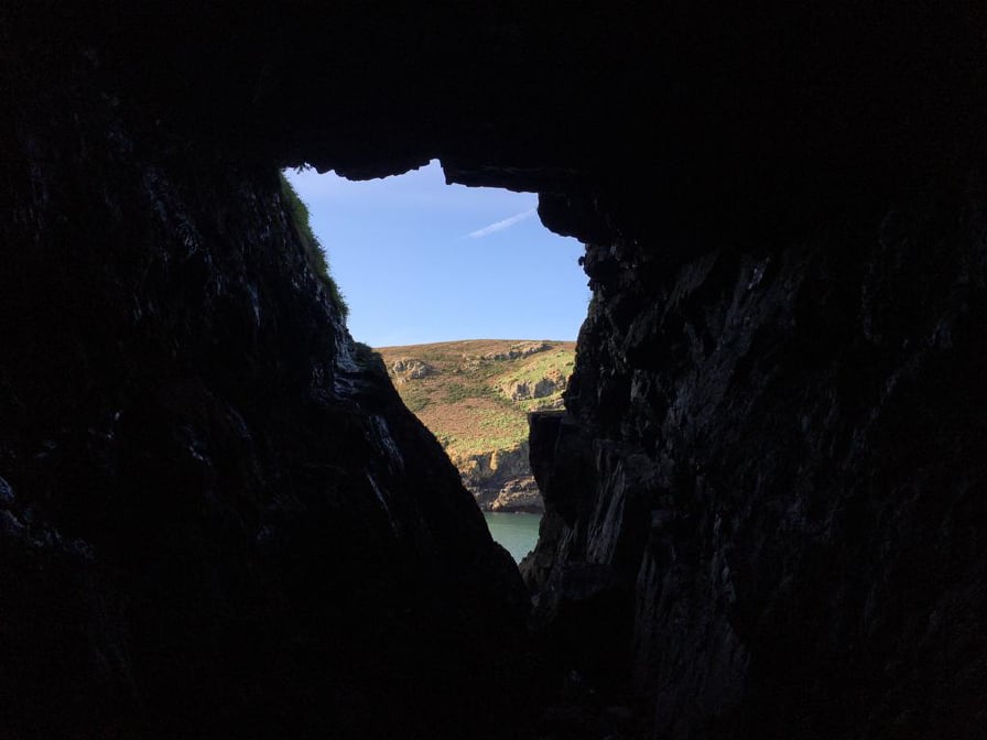 Skomer Island tweet media