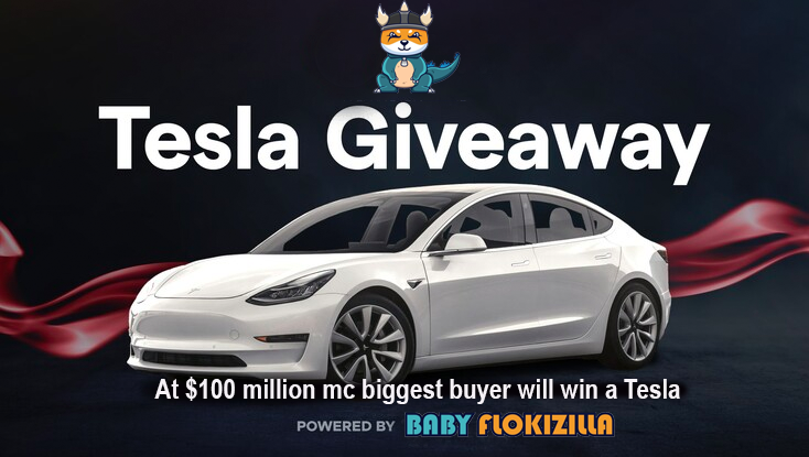 BFZillaBSC's tweet photo. We are excited to offer our first giveaway!

When we reach $100 million mc we will check who the biggest buyer was in total BNB (Based on USD equivalent spent) and award them with a brand new Tesla!

Who will be the lucky winner?

#WHALEALERT #GiveawayAlert  #BabyFlokiZilla https://t.co/g5srUPrZHW