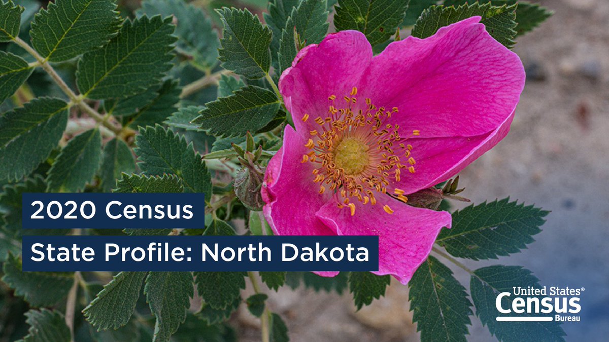 Today is the 132nd anniversary of #NorthDakota’s statehood.

The Peace Garden State's population grew 15.8% to 779,094 from 2010 to 2020.

For more #2020Census insights on the state’s population, check out our #AmericaCounts state profile. go.usa.gov/xead4