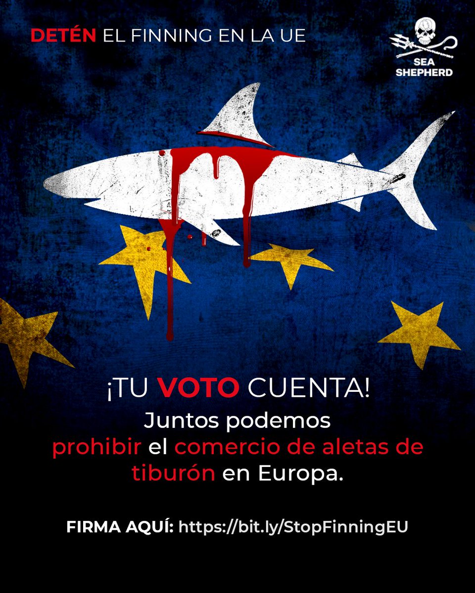 Sea Shepherd España tweet media