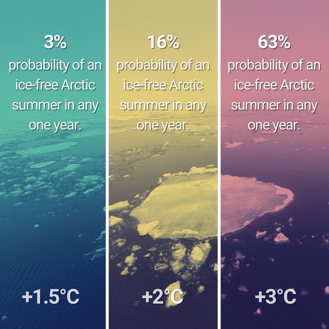 Hannah Mills tweet media