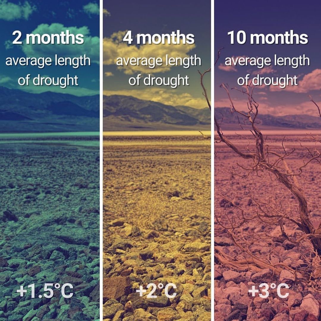 Just to bring it home. Infographics from Un Climate Change highlighting exactly why we must change course so we can still stay within 1.5 degrees of warming….