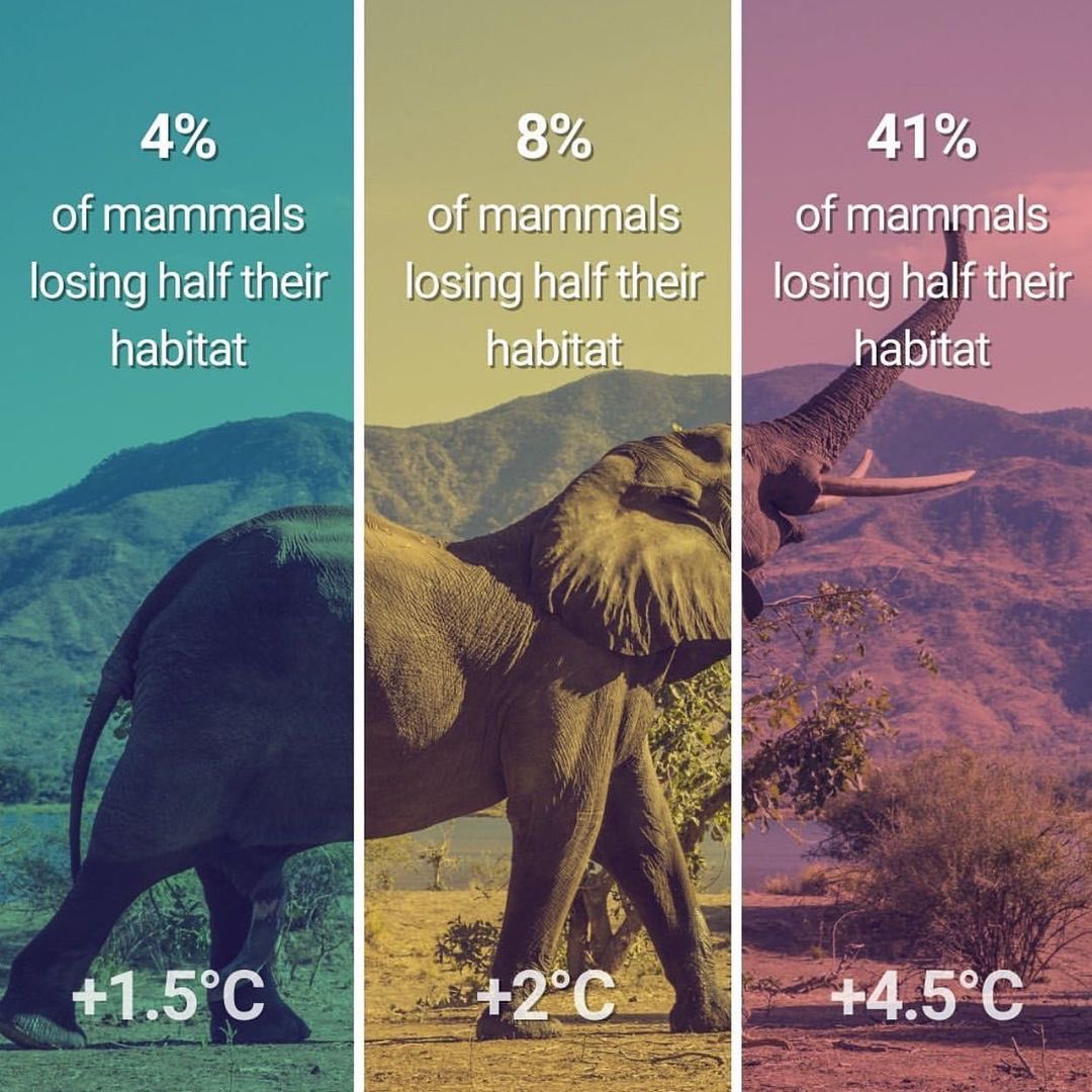 Hannah Mills tweet media