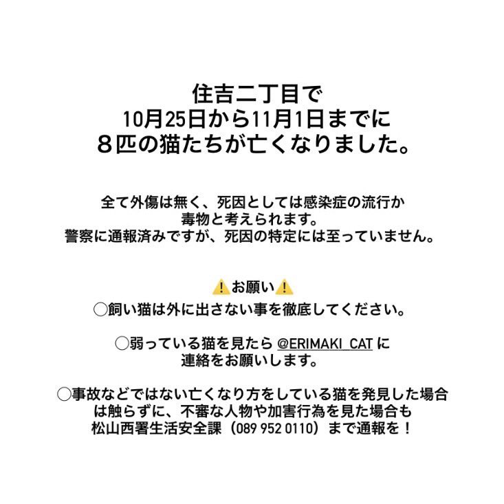 cat_erimaki tweet picture
